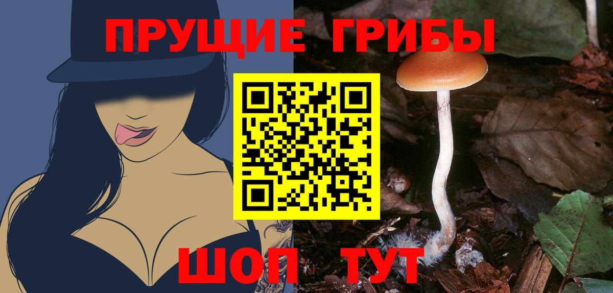 Галлюциногенные грибы Psilocybine cubensis  Псилоцибиновые грибы ЛСД  Вход с VPN  продажа наркотиков  Пушкино 