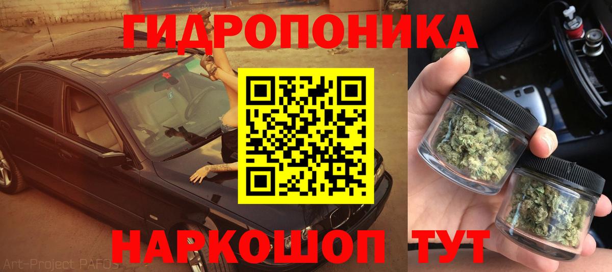 Канабис семена Пушкино